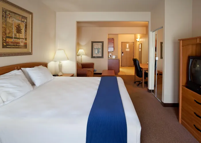 Holiday Inn Express Hotel & Suites Mission-McAllen Area